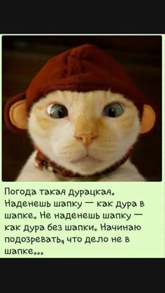 Смотреть Приколы про зарплату (20 фото) видео Смотреть Приколы про зарплату (20 фото) видео